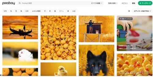 抖音爆料从哪找素材视频,揭秘素材视频生成秘籍，轻松打造爆款短视频！